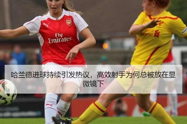 ha-lan-de-jin-qiu-chi-xu-yin-fa-re-yi-gao-xiao-she-shou-wei-he-zong-bei-fang-zai-xian-wei-jing-xia-2-434.jpg